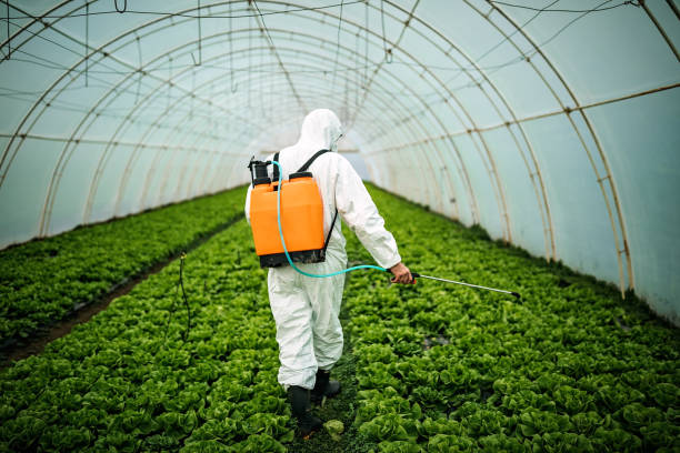 Lake Belvedere Estates, FL Pest Control Company