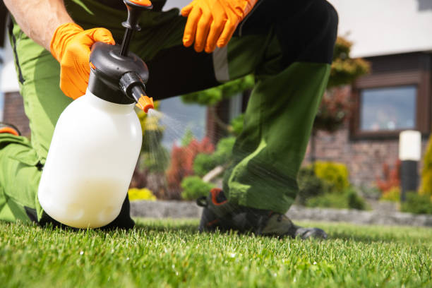Best Pest Inspection Near Me  in Lake Belvedere Estates, FL