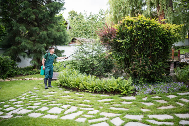 Best Mosquito Control Services  in Lake Belvedere Estates, FL