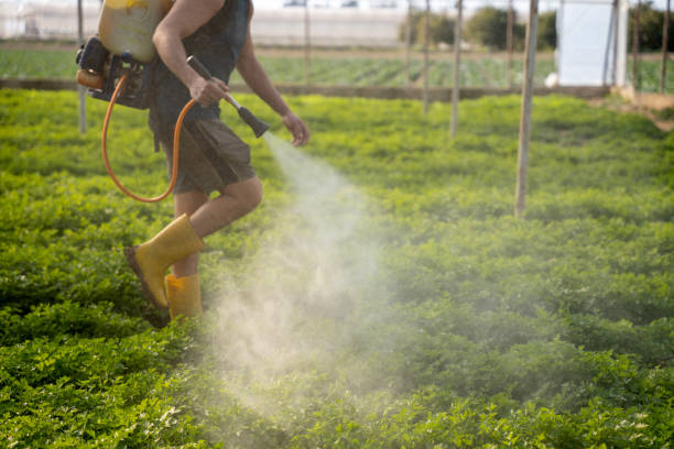 Best Pest Inspection Near Me  in Lake Belvedere Estates, FL