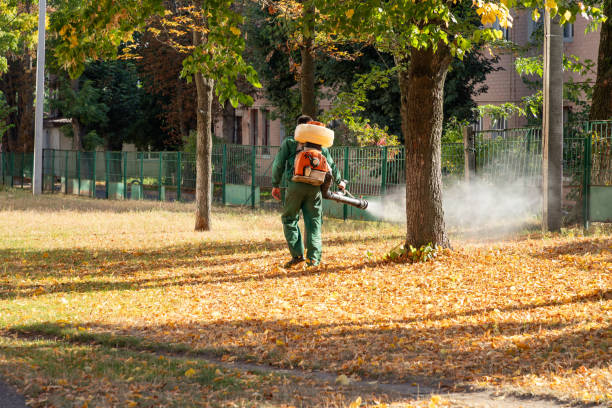 Wasp Removal Services in Lake Belvedere Estates, FL