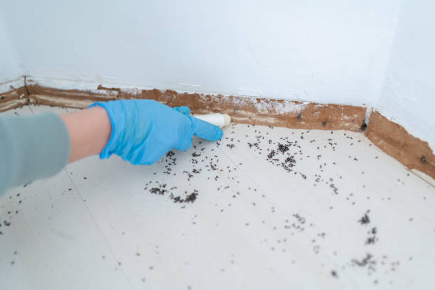 Best Commercial Pest Control Services  in Lake Belvedere Estates, FL