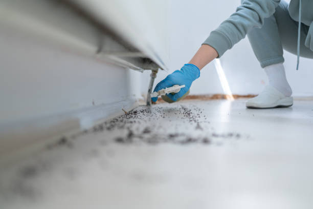 Best Pest Prevention Services  in Lake Belvedere Estates, FL