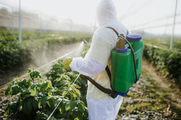 Best Wildlife Control Services  in Lake Belvedere Estates, FL